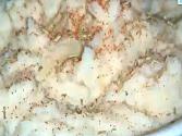 How To Make Creamy Homemade Mashed Potatoes
