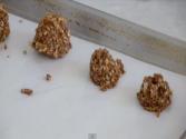 Missouri Cookies