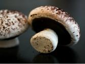 How To Make Meringue Mushroom Cookies