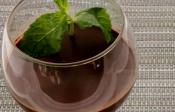 Minted Chocolate Mousse
