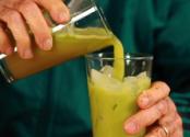 Bourbon-free Kentucky Mint Julep