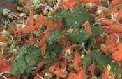 Moong And Carrot Salad