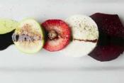 Mozzarella Salad With Roasted Beets, Strawberries And Figs