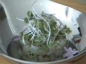 Mulloway Tartare With Tomato Consomme And Garlic Flowers