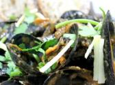Curried Mussels