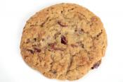 Oatmeal Slice