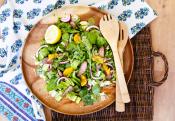 Orange And Honey Steak Salad With Clover Honey Creme Dressing