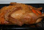 Duck A I Orange