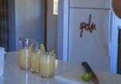 Homemade Passing Wind Margarita