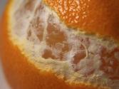 Veal Loin With Clementines