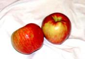 Honey Apple Crisp