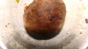 Meat Ball Hotpot