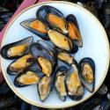 Mussels In Bacon