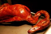 Mock Goose