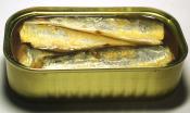 Deviled Sardines