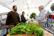 10 Healthy Ways To Cut Your Grocery Bill 