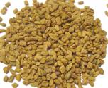 Spices Of India