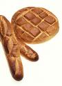 Sour Dough Breads