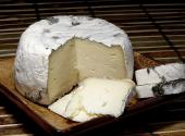Cow's Milk Cheeses