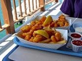 Polynesian Catfish