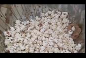 Popcorn From Hell, The Mustang Chef