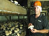 Fresh From The Farmer: Portabellas