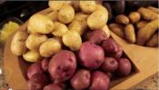 Potatoes