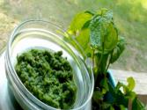 Pudina Chutney (mint Pesto) Fudino Chutney 