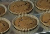 Puggles & Organic Raspberry Muffins