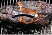 Pulled Pork And Pickles On The Grill