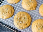 Pumpkin Chocolate Chip Cookies