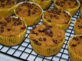 Gluten Free Pumpkin Chocolate Chip Muffins
