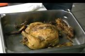 Easy Quail Henin