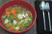 Oriental Chicken Noodle Soup