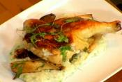 Pan Seared Chicken Salmon Sea Bass And Tuna Salad  