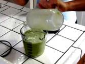 Refreshing Green Smoothie