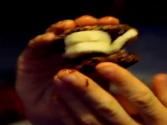 Epic Raw Smores