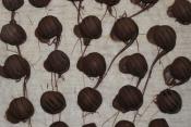 Regal Chocolate Candy Truffles