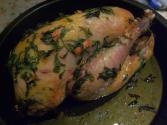 Roast Pheasant