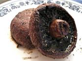 Marinated Portabella