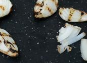 Easy Grilled Onions And Roasted Garlic