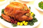 Thanksgiving Roasted Turkey