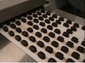 A Tour Of Chocolate Making Factory -  Chocolate Freezing 