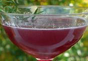 Sambuca Martini