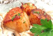 Scallops In Mushroom Sauce