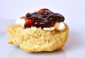 Creamy Scones