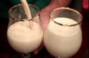 Scrambled Eggnog Drink