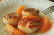 Seared Scallops With Orange Supremes And Jalapeno Vinaigrette 