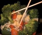 Low Carb Chicken Shirataki Noodles