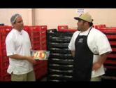 Sinaloa Tortilla Factory Review